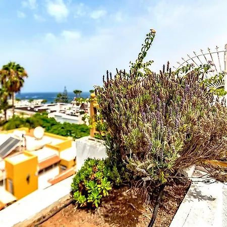 La Pinta 11lge01 Apartmán Costa Adeje (Tenerife)